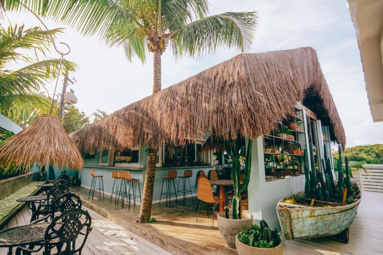 Cactus Lodge Pipa Praia de Pipa Exteriér fotografie